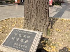 -西园戒幢律寺