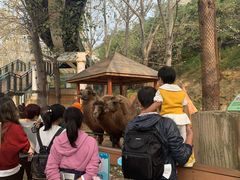 -大连森林动物园