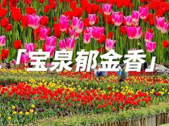 -河南宝泉旅游区