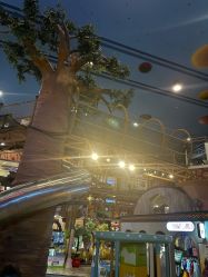 -卡通尼·Safari非洲探索乐园·生日会(金桥国际商业广场店)