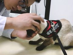 -全心全意连锁动物医院(加州店)