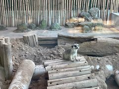 -西安秦岭野生动物园