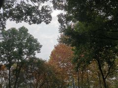 -重庆中央公园(渝北区)