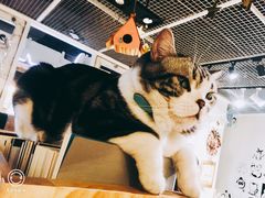 -小时光咖啡馆(开森度假森林店)