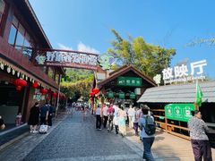 -野象谷景区