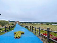 -塞罕坝国家级自然保护区