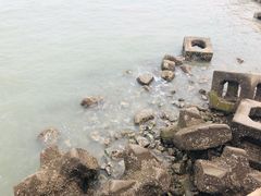 -东疆建设开发纪念公园