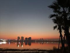 -九龙湖公园