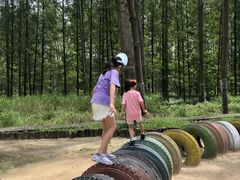 -黄海国家森林公园