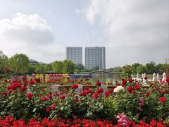 -西海子公园