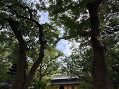 -普陀山风景名胜区-法雨禅寺