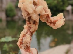 -秀丽东方
