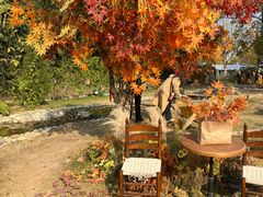 -HERRE·FARM 赫尔露营农场·团建聚会包场