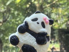 -成都大熊猫繁育研究基地