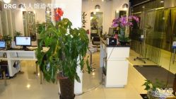 DSC01115-DRG达人馆造型