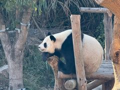 -宁波野生动物园