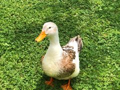 -云南滇池花园国际大酒店温泉