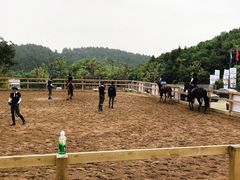 -枫露马术学院(藏书校区)