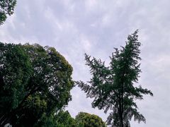 -宝光寺