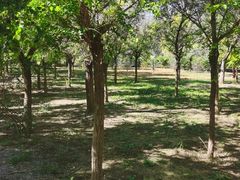 -西青郊野公园