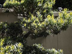 -庹血旺(邑新大道店)