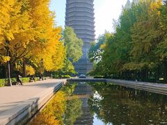 -玲珑塔公园
