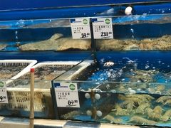 -果蔬好生活超市(乐堤港店)