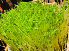 -番食园鲜食火锅(高新店)