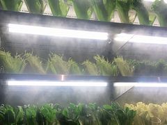 -宴立方海鲜自助(义乌万达广场店)