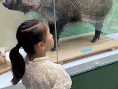 -国家自然博物馆