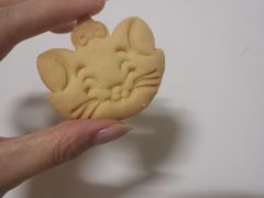 -可心DIY蛋糕烘焙生活馆(迈皋桥万谷慧店)