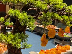 -金狮麟·新豫菜(金码大厦店)