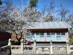 -香山公园