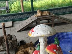 -秦皇岛野生动物园
