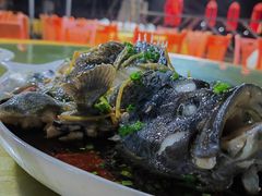 清蒸石斑鱼-明润海鲜(南边海店)