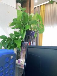 -尚艺造型.剪烫染.接发