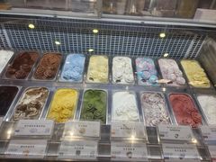 -iceason爱茜茜里·意大利健康冰淇淋(骑龙巷店)