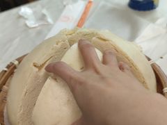 -食家鸽园