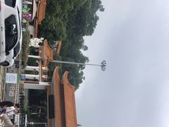 -深圳仙湖植物园