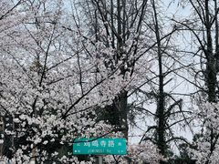 -鸡鸣寺