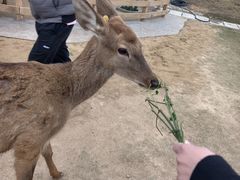 -盈香心动乐园