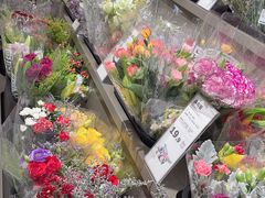 -鹿岛生活(熙地港店)