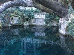 -蝴蝶泉公园