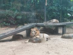 -广州长隆野生动物世界