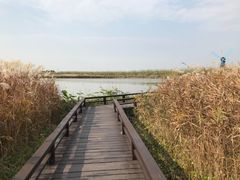 -宁波杭州湾国家湿地公园