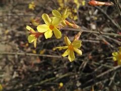 -天津东丽湖风景区