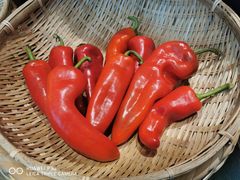 -千稻剁椒大鱼头(CityOn熙地港店)