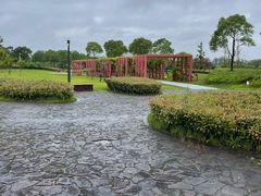 -春花秋色城市公园