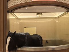 -海澜飞马水城