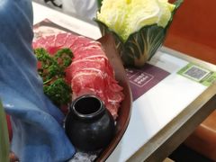 -洪氏嗨捞·猪肚鸡火锅(阳光天地店)